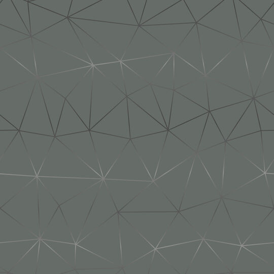 Klebefolie Tico silver image number null